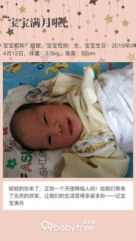 journal_insert_pic_1233043533