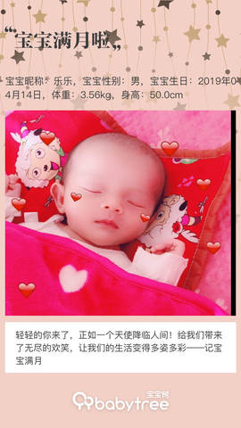 journal_insert_pic_1233640865