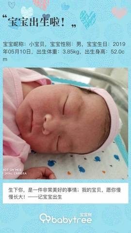 journal_insert_pic_1233496440