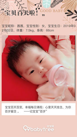 journal_insert_pic_1234208146