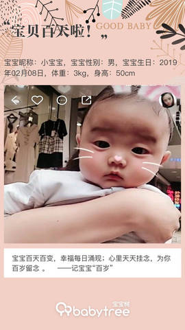 journal_insert_pic_1236115393