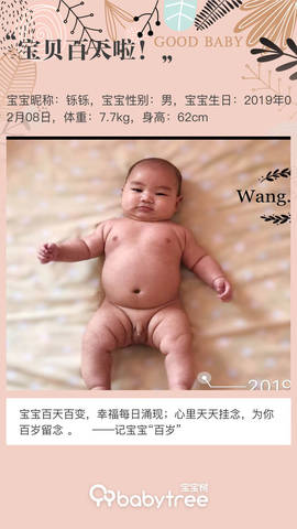 journal_insert_pic_1236732396