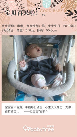 journal_insert_pic_1237358544