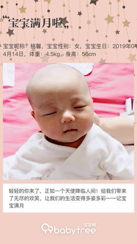 journal_insert_pic_1237294011