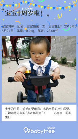 journal_insert_pic_1238712026