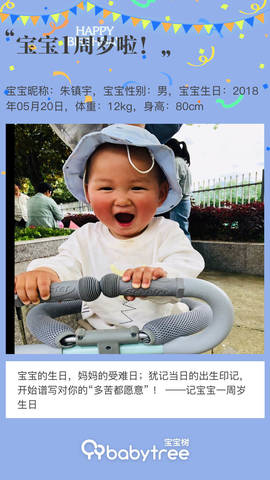 journal_insert_pic_1239326941