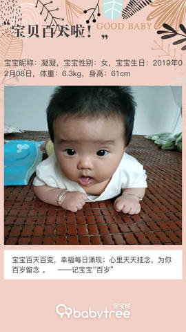 journal_insert_pic_1239055495