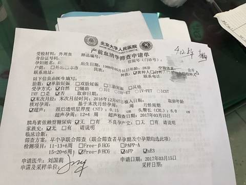 journal_insert_pic_1520151101
