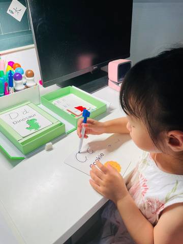 journal_insert_pic_4125099387
