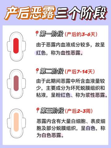 journal_insert_pic_4125162986