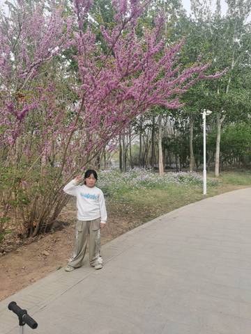 journal_insert_pic_4127075902