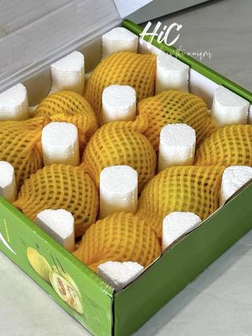 journal_insert_pic_4361980779