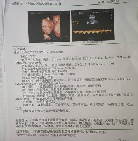 journal_insert_pic_4362118096