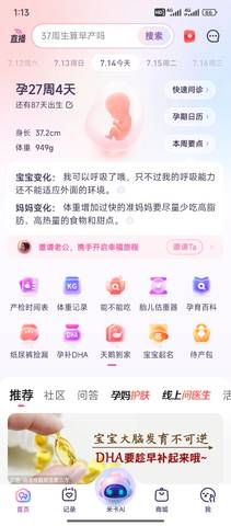 journal_insert_pic_4411885769