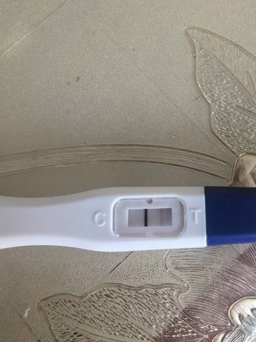 journal_insert_pic_4412690773