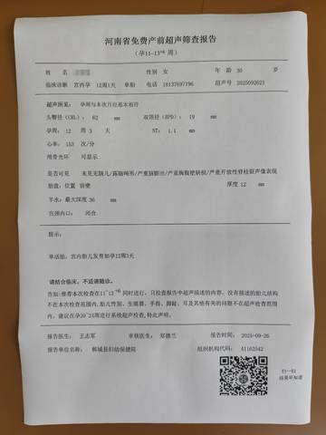 journal_insert_pic_4414187135