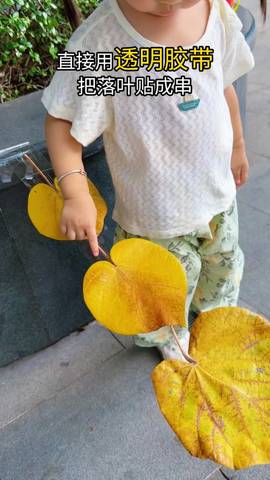 journal_insert_pic_4414756739