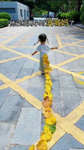 journal_insert_pic_4414756733