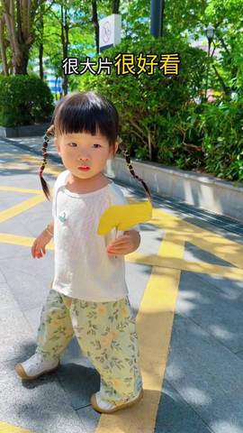 journal_insert_pic_4414756734