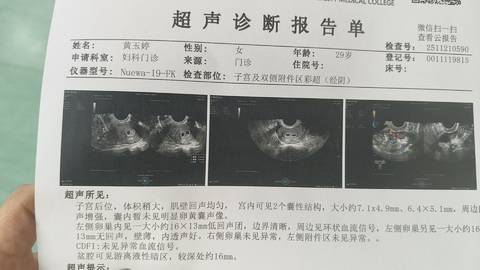 journal_insert_pic_4415447240