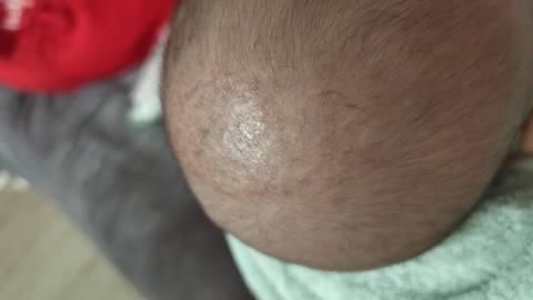 journal_insert_pic_4439567167