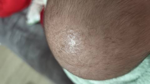 journal_insert_pic_4439567166