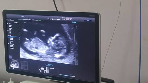 journal_insert_pic_4440078212