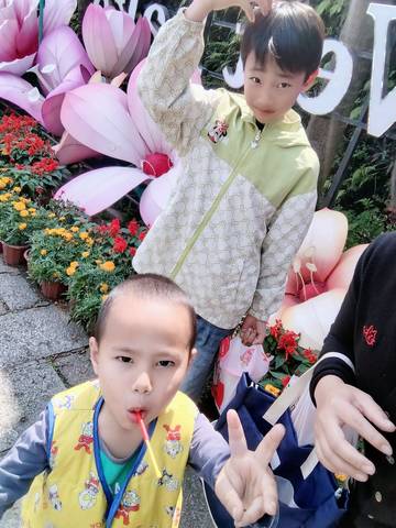 journal_insert_pic_4443592724