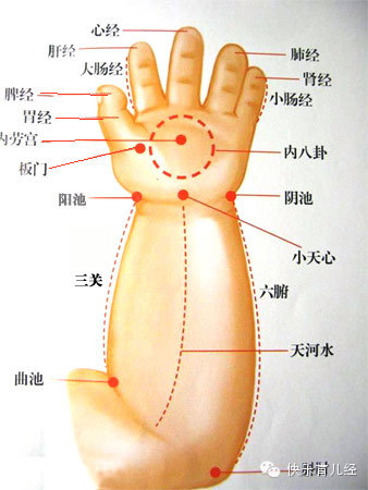 journal_insert_pic_711801038