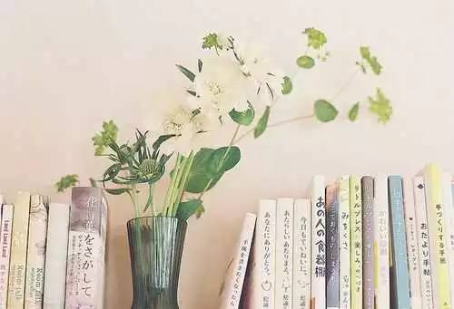 journal_insert_pic_972342203