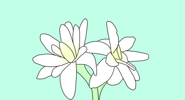 journal_insert_pic_744051229