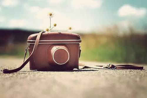 journal_insert_pic_966509646