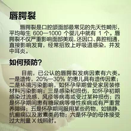 journal_insert_pic_678322634