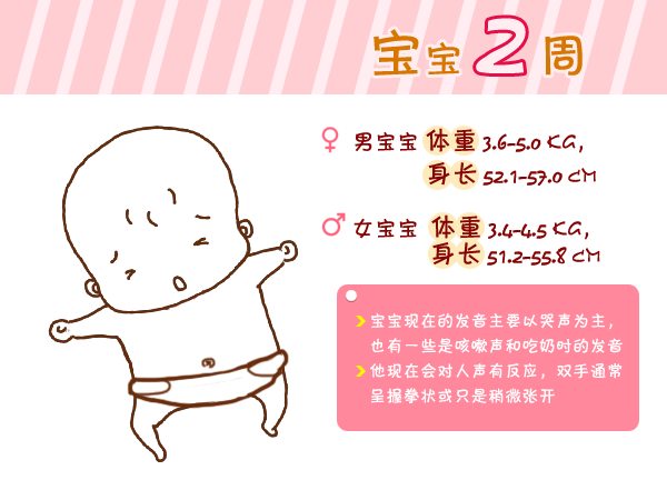 journal_insert_pic_960764767