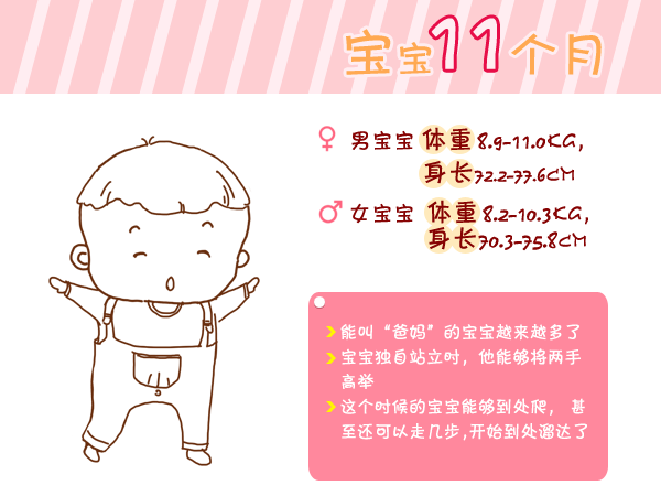 journal_insert_pic_960764782