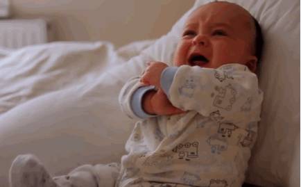 journal_insert_pic_956465908