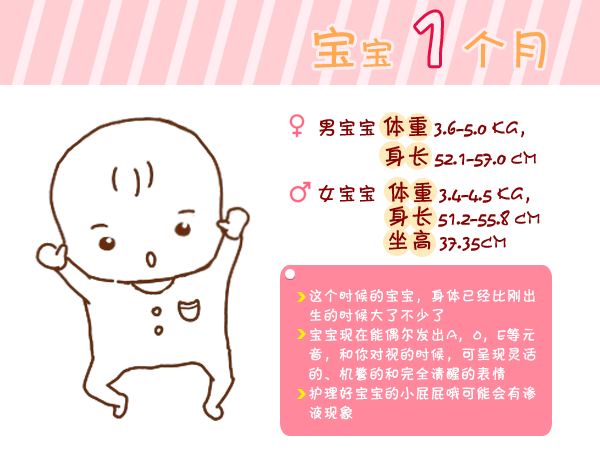 journal_insert_pic_960764771