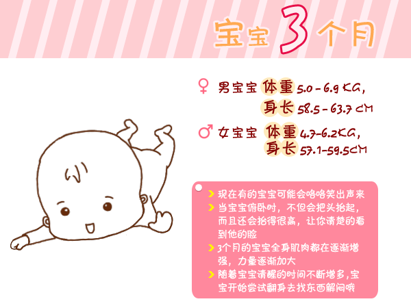 journal_insert_pic_960764774