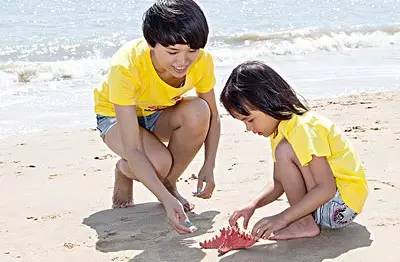 journal_insert_pic_962504286