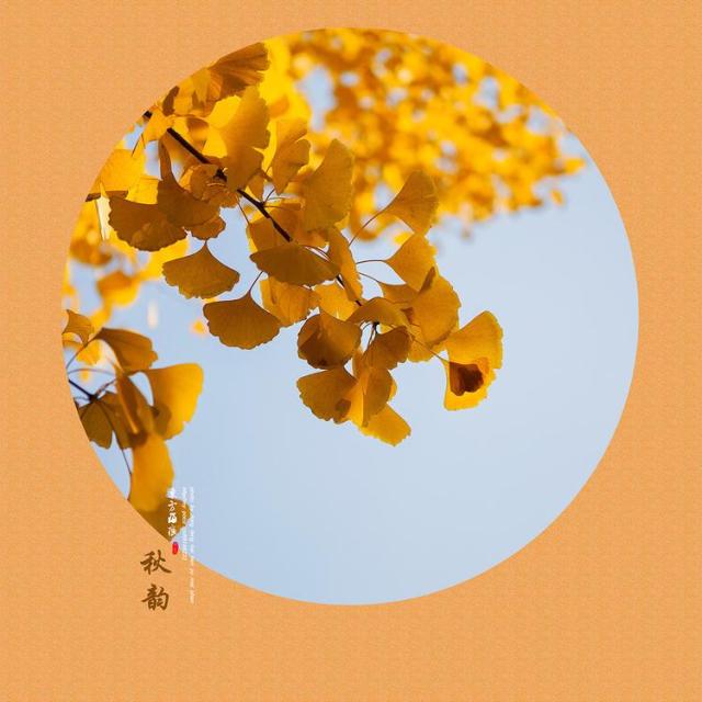 journal_insert_pic_972930704