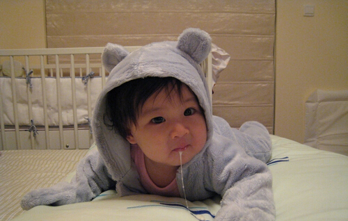journal_insert_pic_962621011